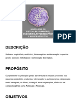 Histologia Do Sistema Respiratório, Endócrino, Fotorreceptor e Audiorreceptor