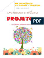 Livro Clube Pedagógico Primavera e Arvore Projetos