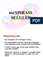 4. Respirasi seluler