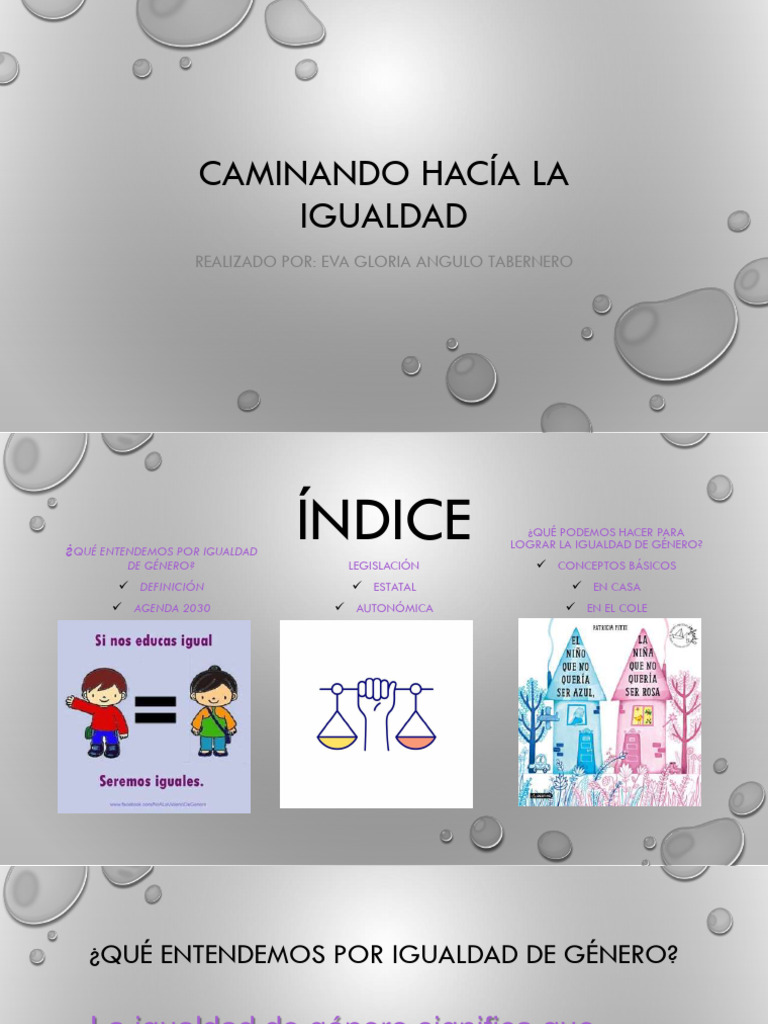 Caminando hacia la Igualdad de Género | PDF | Estudios de género ...
