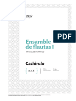 2.6-Cachirulo-Ensamble-de-flautas-Gustavo-Hunt-_-Ediciones-Tango-Sin-Fin-de-libre-descarga.pdf-btlpw3