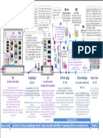 202001_schema_blom_boucle_local_optique_mutualisee