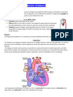 Sistema Circulatorio y excretor