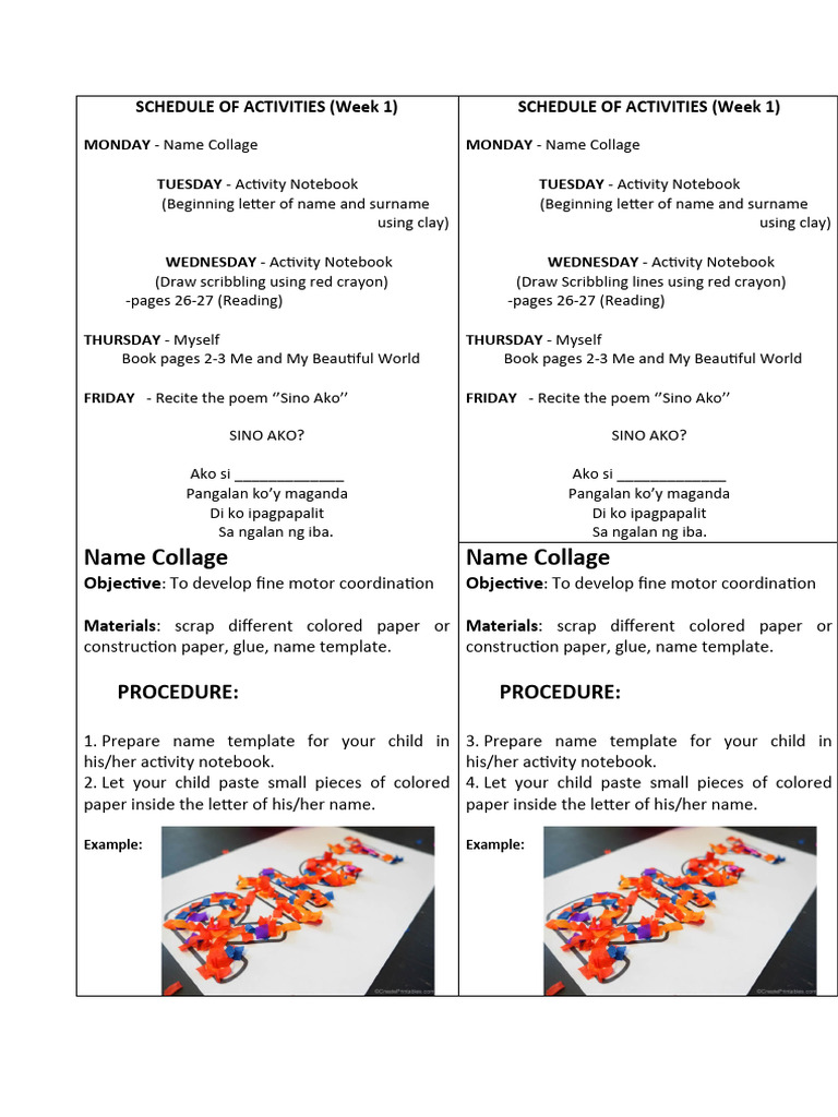 Schedule of Activities | PDF