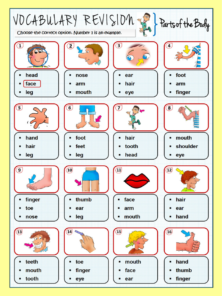 vocabulary-revision-parts-of-the-body-1-picture-dictionaries_126033 | PDF