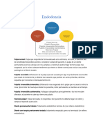 Diagnosticos Pulpares