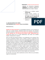 Demanda de Amparo Indirecto Pago A Maestros Interinos 1