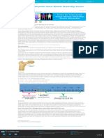 How To Interpret Your Bone Density Scan Results - True North Wellness