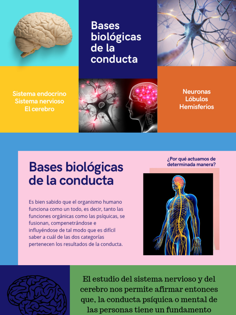 Bases biológicas de la conducta humana | PDF