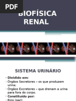 Apresentação BIOFÍSICA RENAL - FINAL