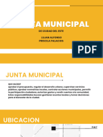 Junta Municipal 1.0