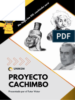 Preguntas Proyecto Cachimbo 2 Unmsm