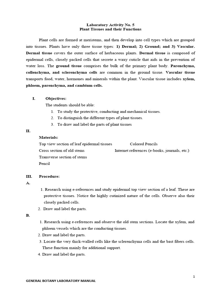Laboratory Activity No. 5 The Plant Tissues and Their Functions+ | PDF