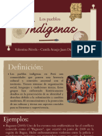 Pueblos Indígenas