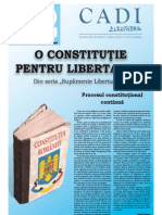 Plus Plus: Procesul Constituţional Continuă