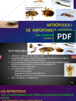 Artropodos de Importancia Medica