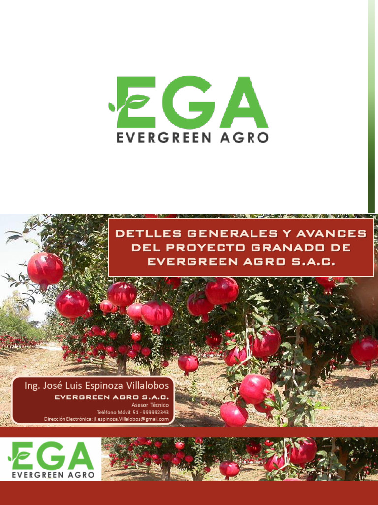 Avances del Proyecto Granada EGA | PDF