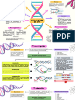 Dogma Central de La Biología Molecular