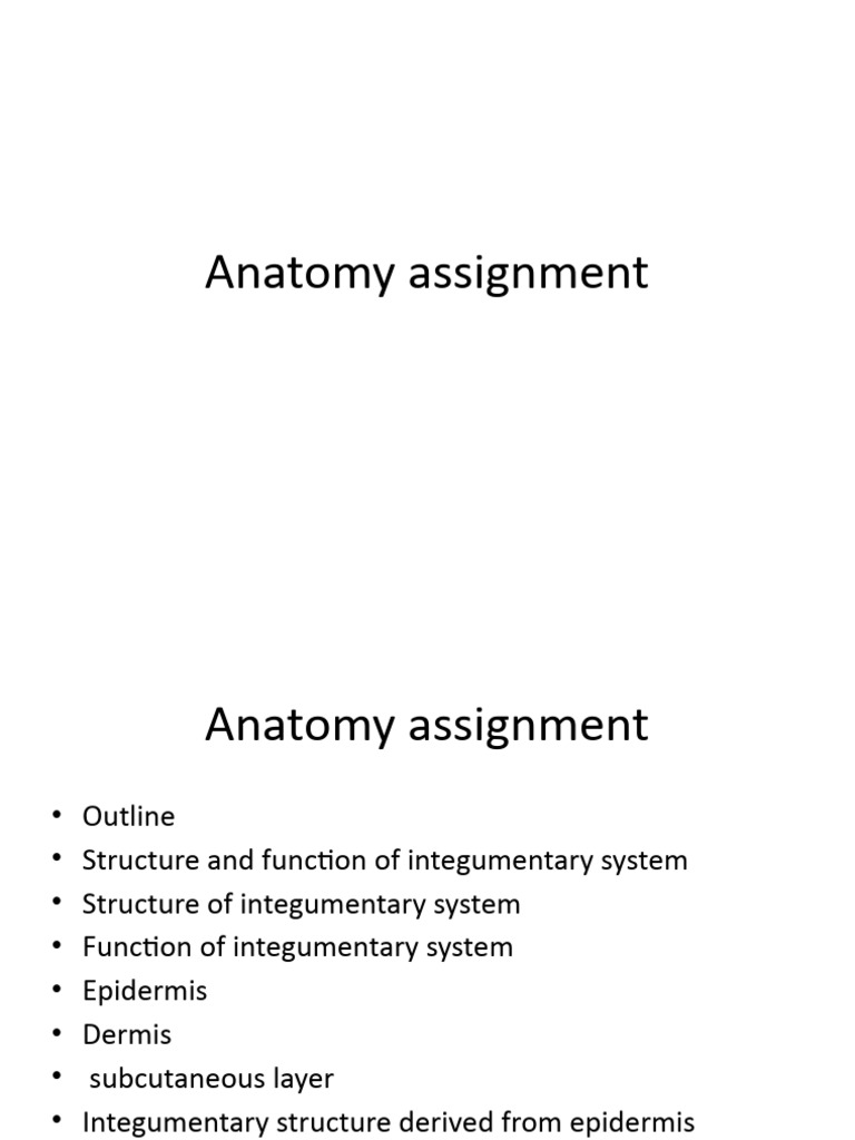 anatomy assignment topics