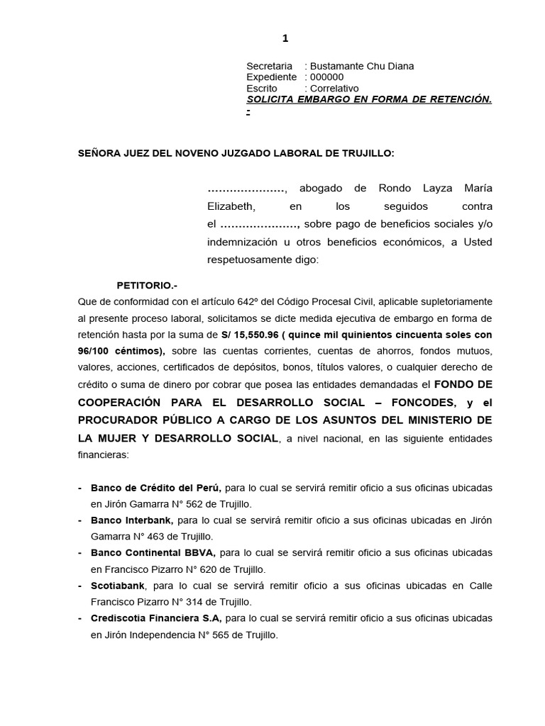 MEDIDA CAUTELAR DE EMBARGO Rondo Layza María Elizabeth | PDF
