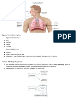 Week 3 Respiratory System