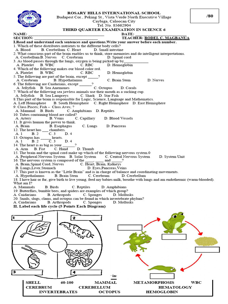 Science 6 Third Quarter Exam Guide | PDF | Home & Garden | Science ...