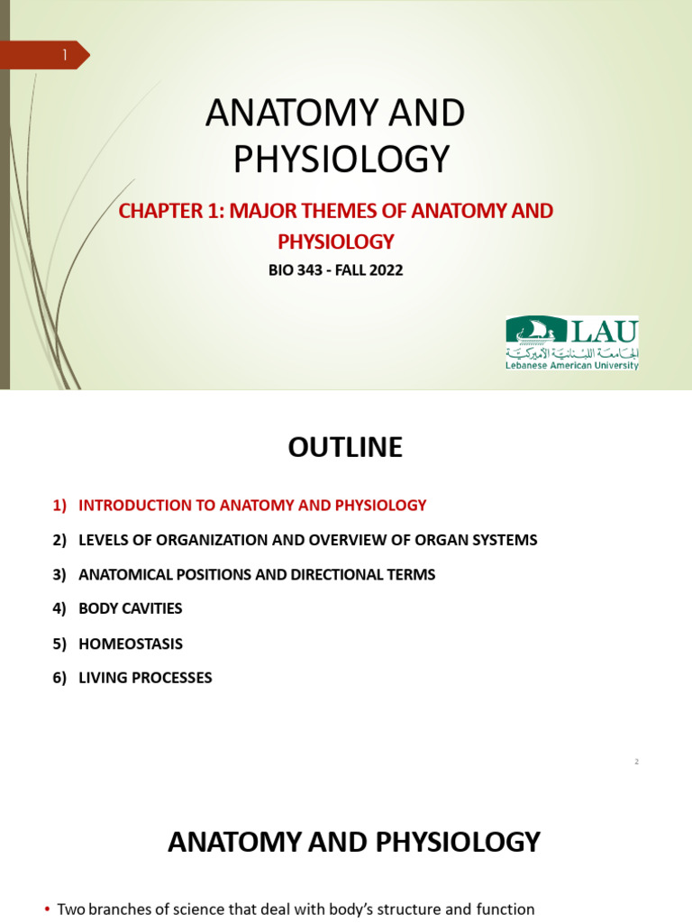 Chapter 1 Major Themes Of Anatomy And Physiology 2022 09 09 20 21