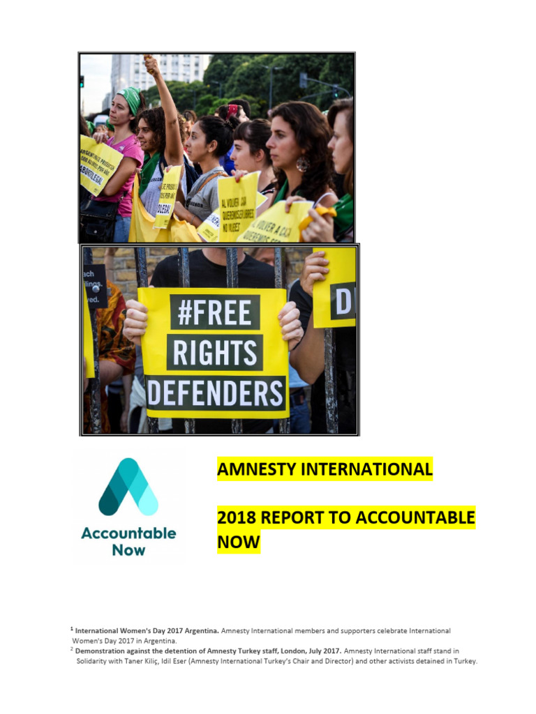 2018 AI Report To Accountable Now FINAL | PDF