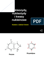 Nukleozydy Nukleotydy I Kwasy Nukleinowe