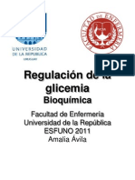 Regulacion de La Glicemia Clase 7