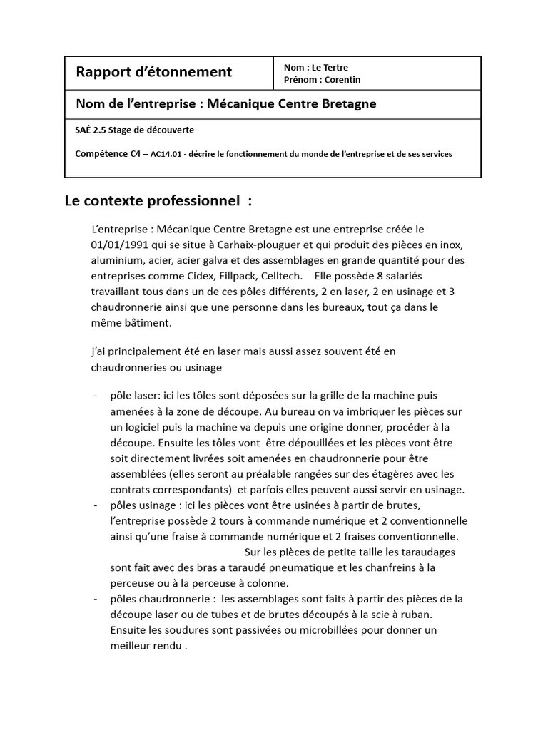 rapport-etonnement-but1-pdf
