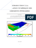 Simulation Gisement Pétrolier