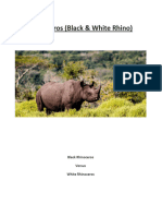 (PROJECT) RHINO - Rhinoceros (Black & White Rhino) - Hluhluwe Game Reserve