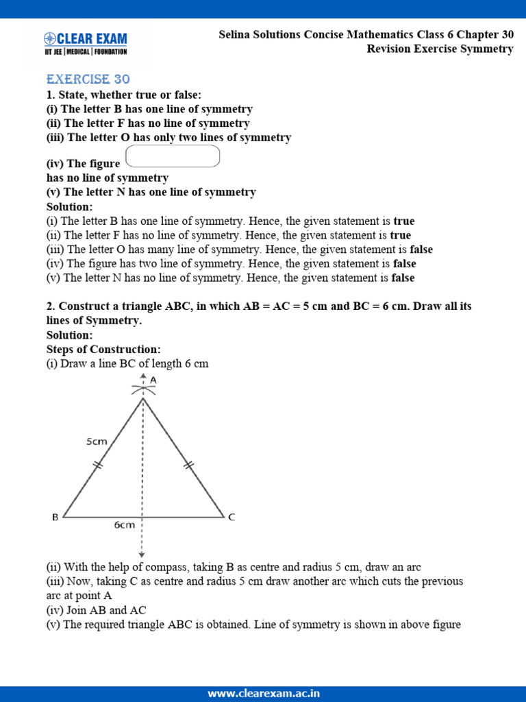 concise mathematics class 6 pdf solutions