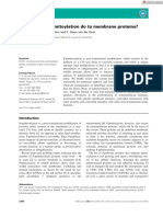 The FEBS Journal - 2013 - Blaskovic - What Does S Palmitoylation Do To Membrane Proteins