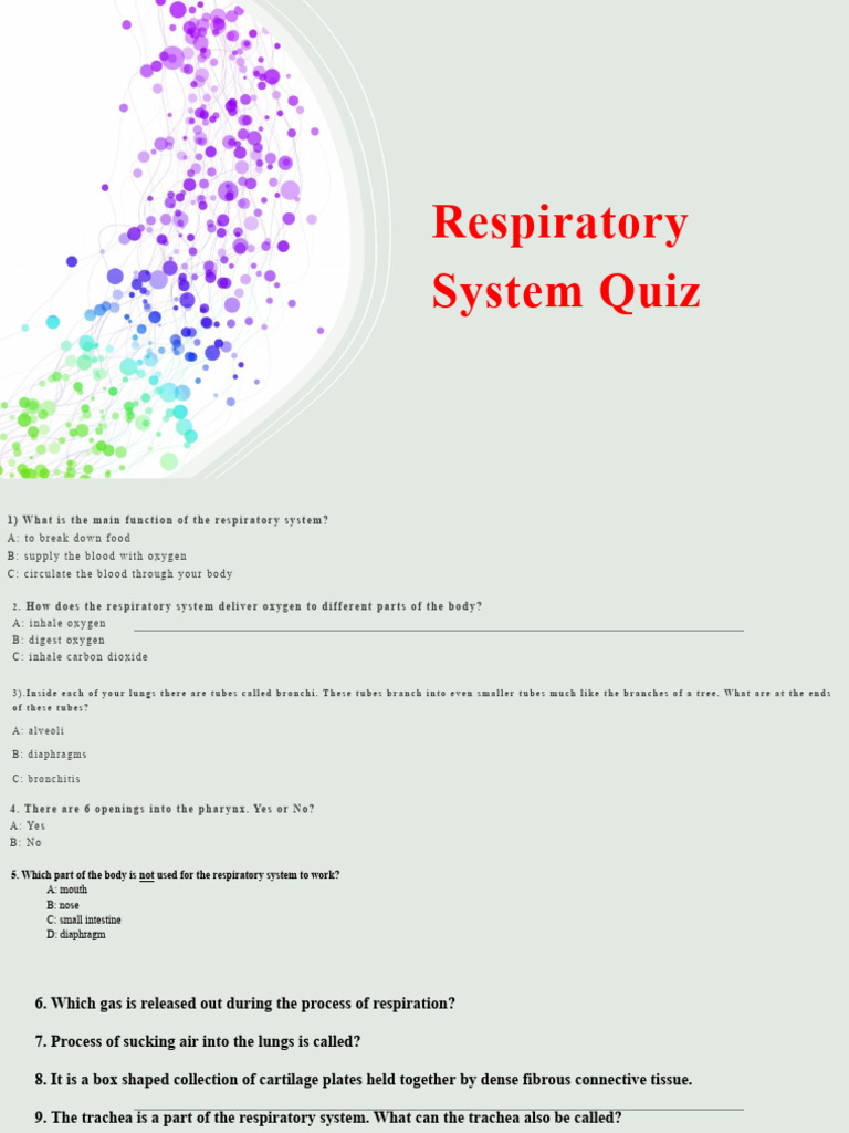 Respiratory System Quiz PDF