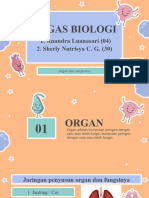 Organ, Dan Sel Punca