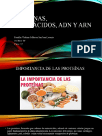 Proteínas, Aminoacidos, Adn y Arn