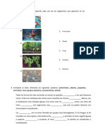 Los Microorganismos y Los Reinos Bacteria, Protoctista-Examen