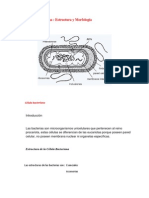 morfologia bacteriana