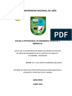 Informe Final de Practicas Lesli