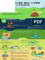 Infografía Derecho Ambiental