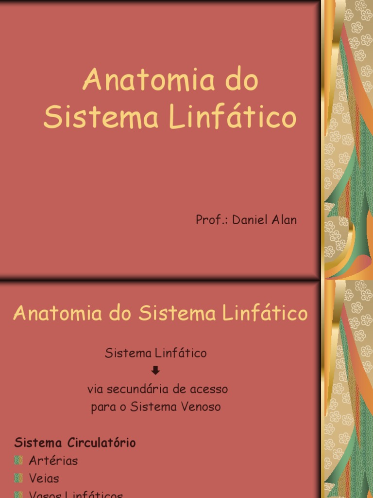 Anatomia Do Sistema Linfatico Pdf Sistema Linfático Anatomia Animal
