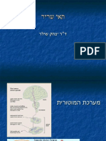 ביופיזיקה שריר 1