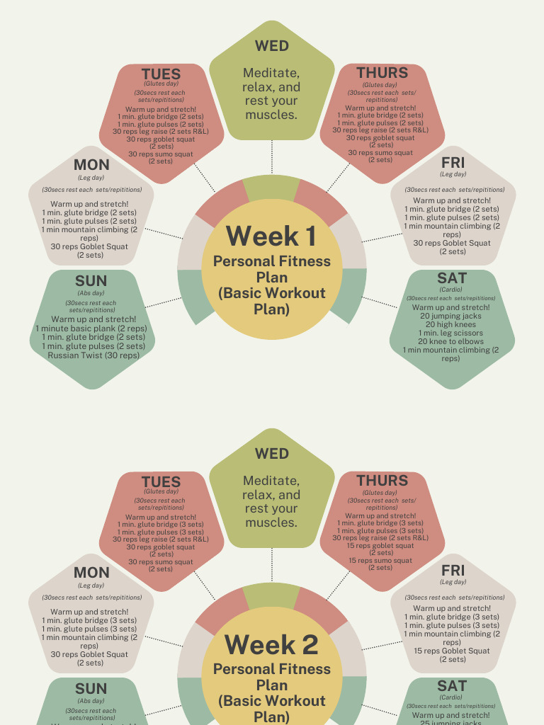 Physical Fitness Plan PDF