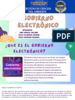 Gobierno Electronico