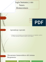 Clase 2 Homeostasis para Subir