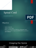 2 - Spinal Cord