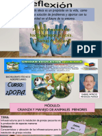 Semana 9 Animales Menores PM 2do Pa2022