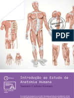 Apostila Do Curso Introducao Ao Estudo Da Anatomia Humana